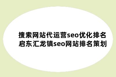 搜索网站代运营seo优化排名 启东汇龙镇seo网站排名策划